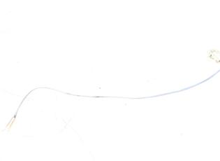 SONDE TEMPERATURE EXTERIEURE
