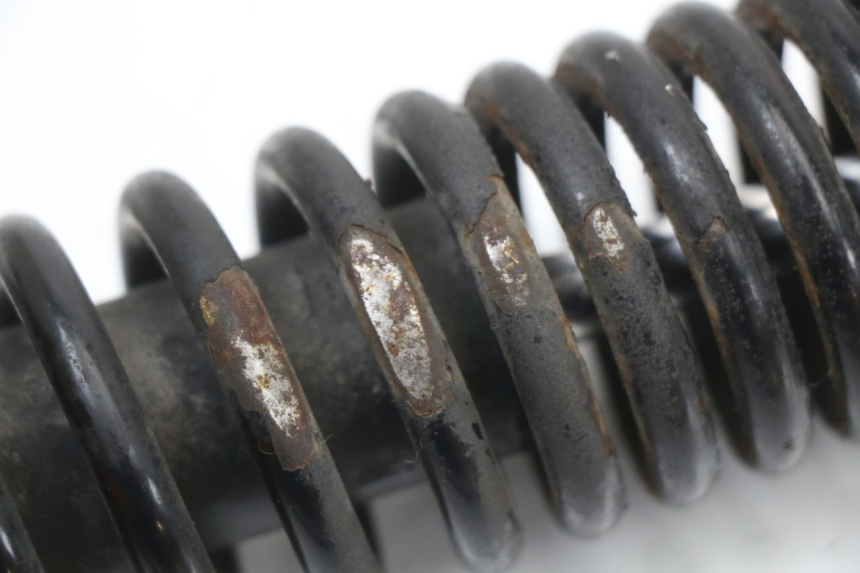 photo de AMORTISSEUR ARRIERE PIAGGIO NEW TYPHOON 50 (2018 - 2021) - Vue d’ensemble