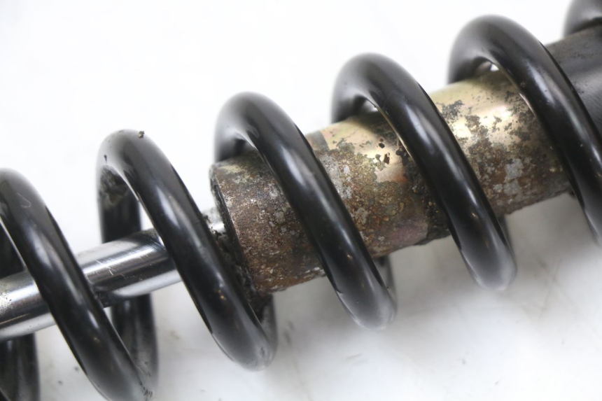 photo de AMORTISSEUR ARRIERE TNT MOTOR ROMA 10' 4T 50 (2019 - 2022) - Vue d’ensemble