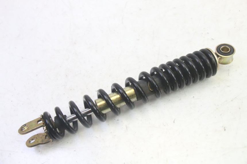 photo de AMORTISSEUR ARRIERE TNT MOTOR ROMA 10' 4T 50 (2019 - 2022) - Vue principale