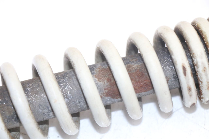 photo de AMORTISSEUR ARRIERE PIAGGIO TYPHOON 50 (2000 - 2009) - Vue d’ensemble