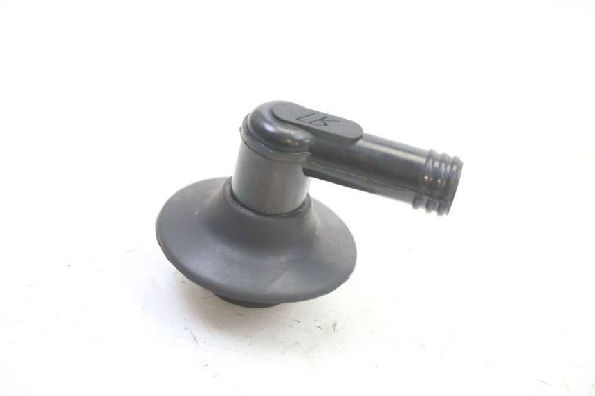 photo de ANTIPARASITE PEUGEOT KISBEE 2T 50 (2010 - 2017) - Vue principale