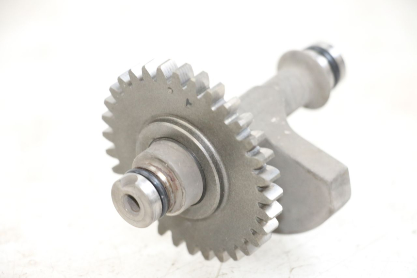 photo de BALANCIER MOTEUR SHERCO CITY CORP 125 (2003 - 2007) - Détail de la pièce