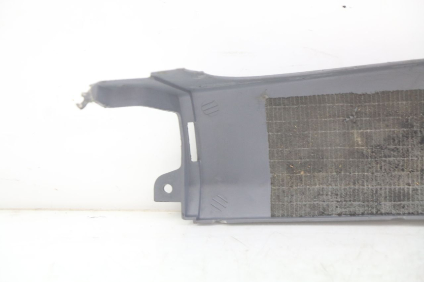 photo de BAS DE CAISSE ARRIERE DROIT HONDA FES PANTHEON 2T 125 (1998 - 2002) - Zoom état d’usage