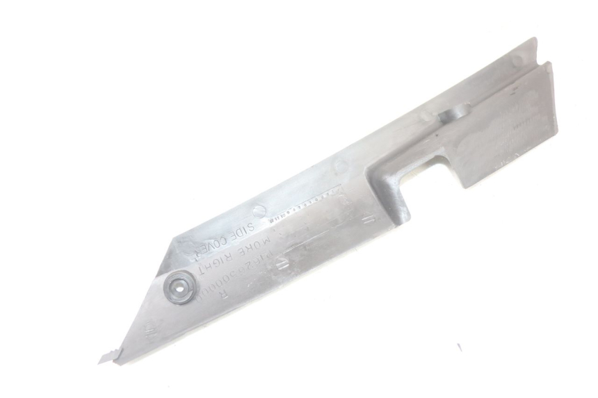 photo de BAS DE CAISSE ARRIERE DROIT MASH LEGEND'R 4T 50 (2021 - 2025) - État de surface