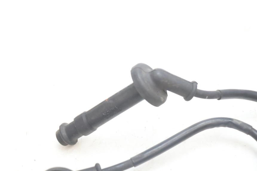 photo de BOBINE HONDA CB F HORNET 600 (2005 - 2006) - Gros plan technique