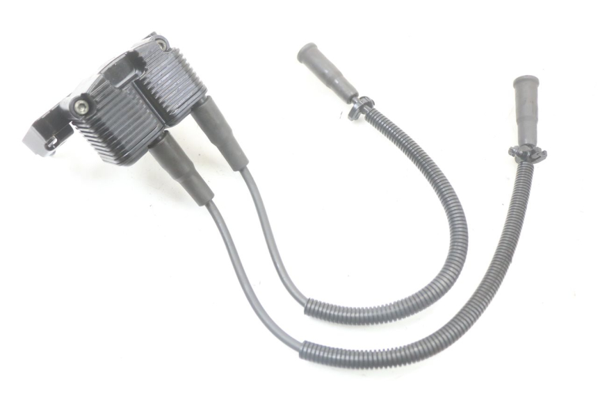 photo de BOBINE HARLEY DAVIDSON SPORTSTER XL CUSTOM 883 (1999 - 2006) - Vue principale