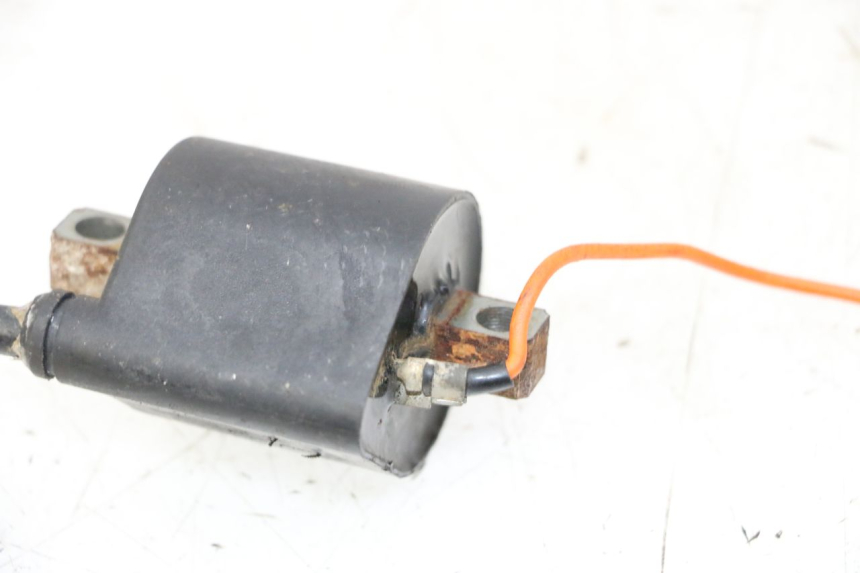 photo de BOBINE YAMAHA PW 80 (1983 - 2014) - Zoom état d’usage