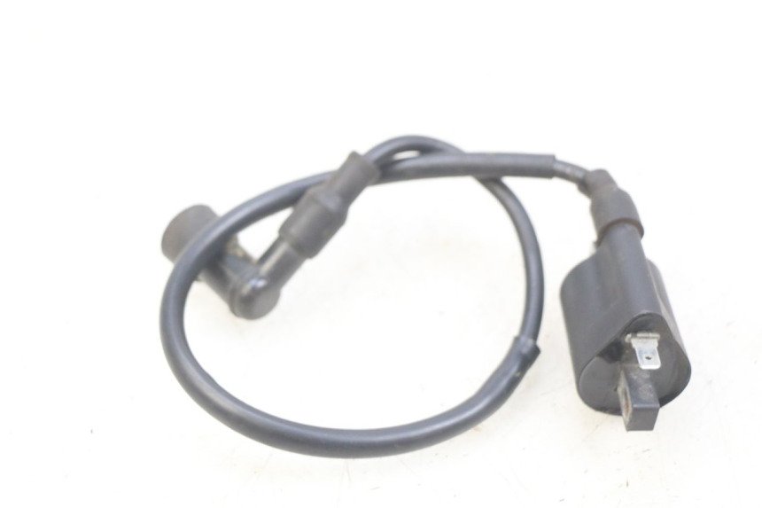 photo de BOBINE YAMASAKI RAPTOR 50 (2013 - 2018) - Zoom état d’usage