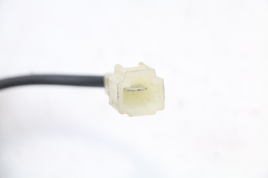 photo de BOBINE TNT MOTOR ROMA 10' 2T 50 (2011 - 2018) - Gros plan technique