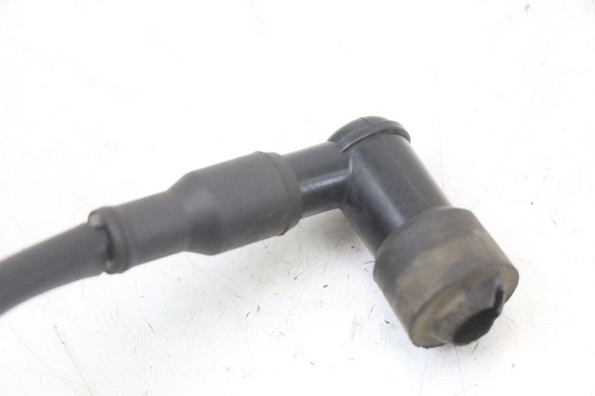 photo de BOBINE TNT MOTOR ROMA 10' 2T 50 (2011 - 2018) - Vue d’ensemble