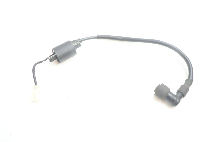 photo de BOBINE TNT MOTOR ROMA 10' 2T 50 (2011 - 2018) - Gros plan technique