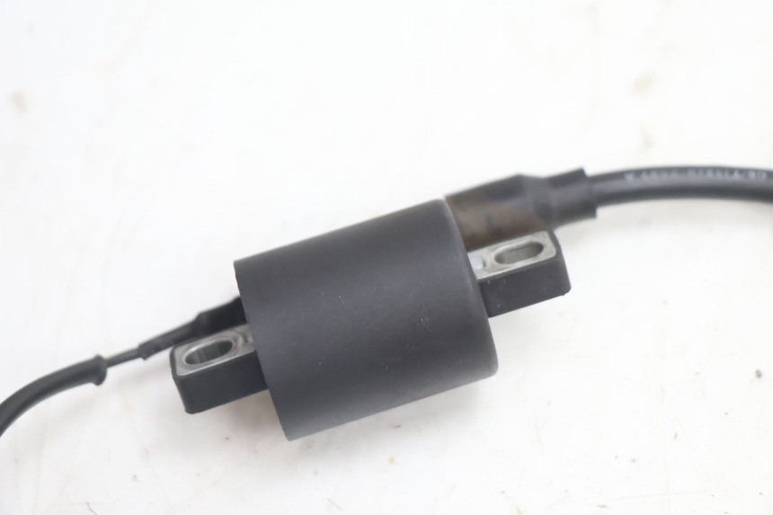 photo de BOBINE TNT MOTOR ROMA 10' 2T 50 (2011 - 2018) - Vue d’ensemble