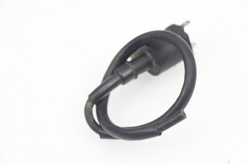 photo de BOBINE TNT MOTOR ROMA 10' 4T 50 (2007 - 2018) - Détail de la pièce