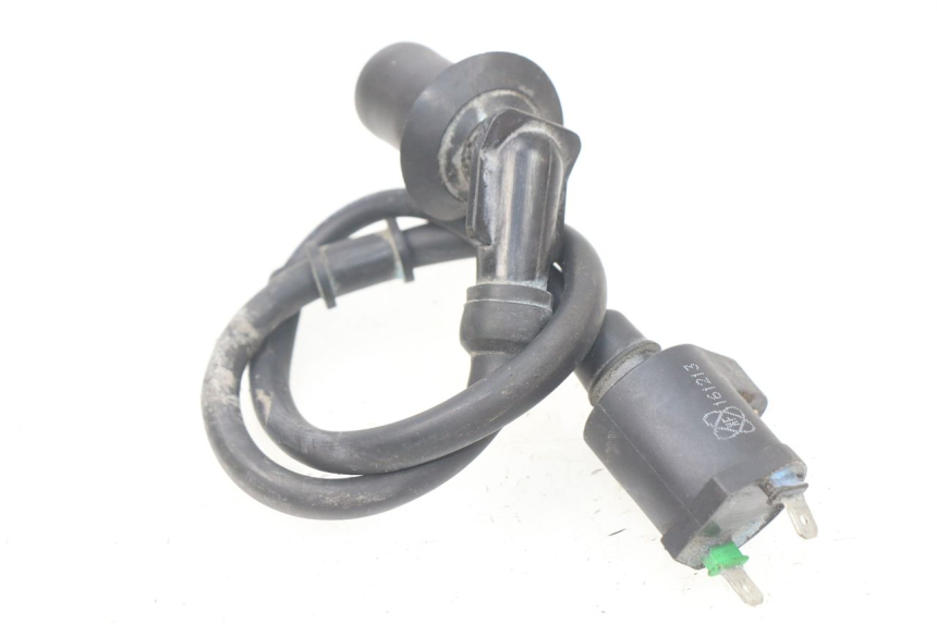 photo de BOBINE TNT MOTOR ROMA 10' 4T 50 (2007 - 2018) - Détail de la pièce