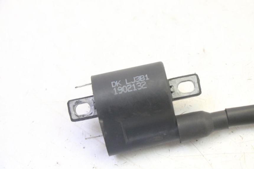 photo de BOBINE TNT MOTOR ROMA 10' 4T 50 (2019 - 2022) - Détail de la pièce