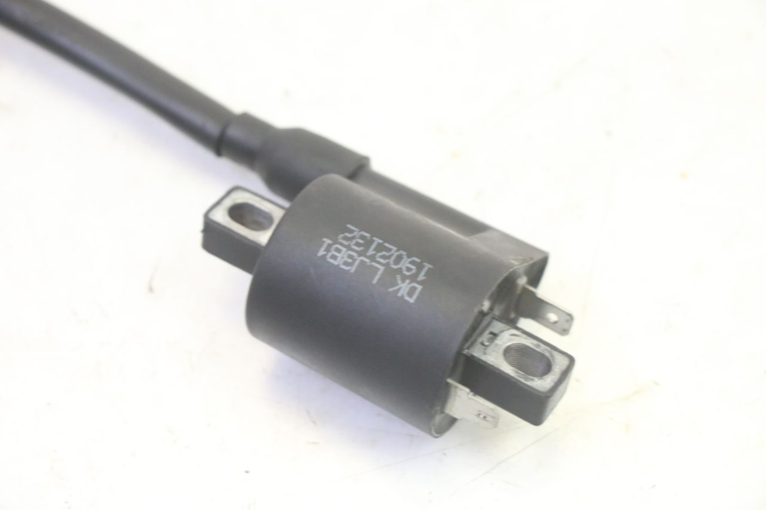 photo de BOBINE TNT MOTOR ROMA 10' 4T 50 (2019 - 2022) - Vue d’ensemble