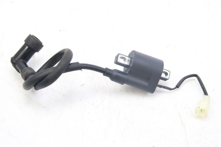 photo de BOBINE TNT MOTOR ROMA 12' 2T 50 (2007 - 2018) - Vue principale