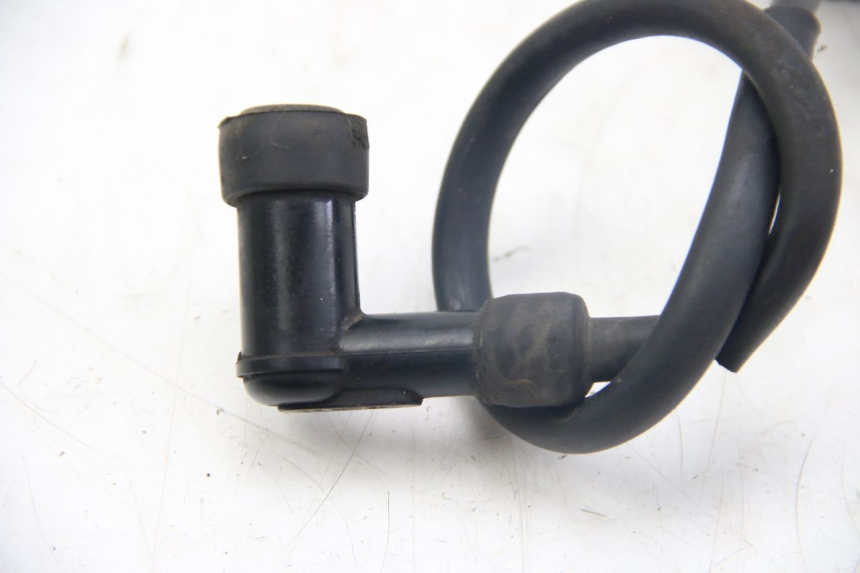 photo de BOBINE TNT MOTOR ROMA 12' 2T 50 (2007 - 2018) - Autre angle de vue