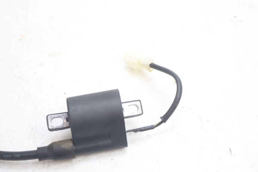 photo de BOBINE TNT MOTOR ROMA 12' 2T 50 (2007 - 2018) - Vue d’ensemble