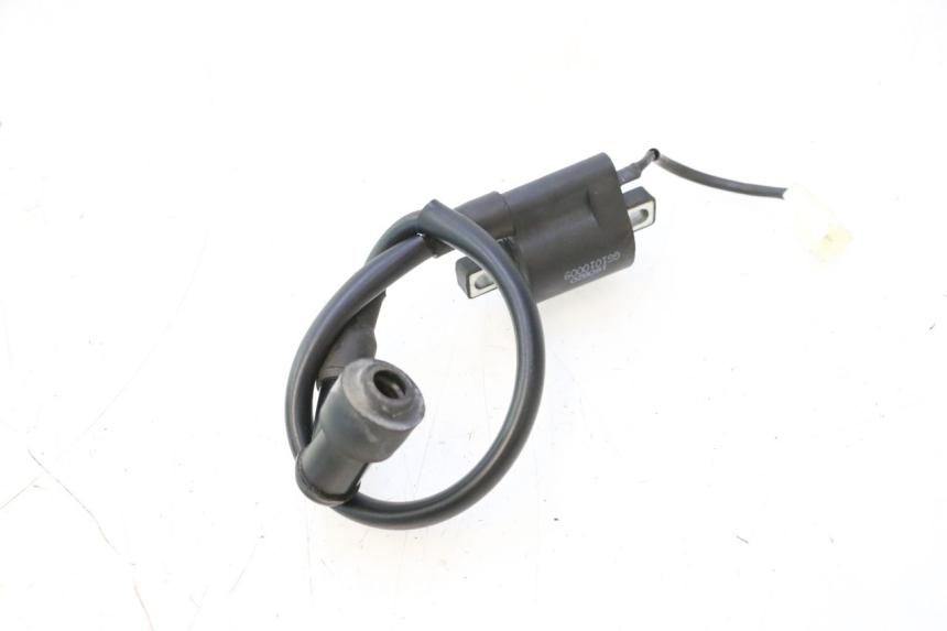 photo de BOBINE TNT MOTOR ROMA 12' 2T 50 (2007 - 2018) - Détail de la pièce