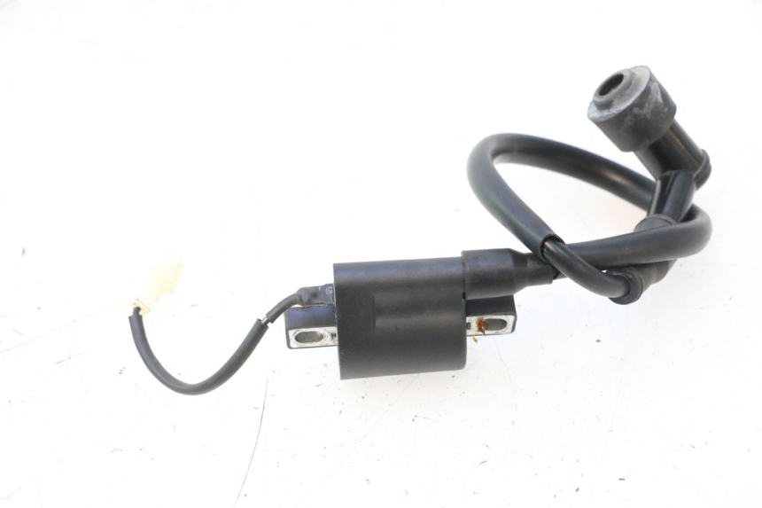 photo de BOBINE TNT MOTOR ROMA 12' 2T 50 (2007 - 2018) - Gros plan technique