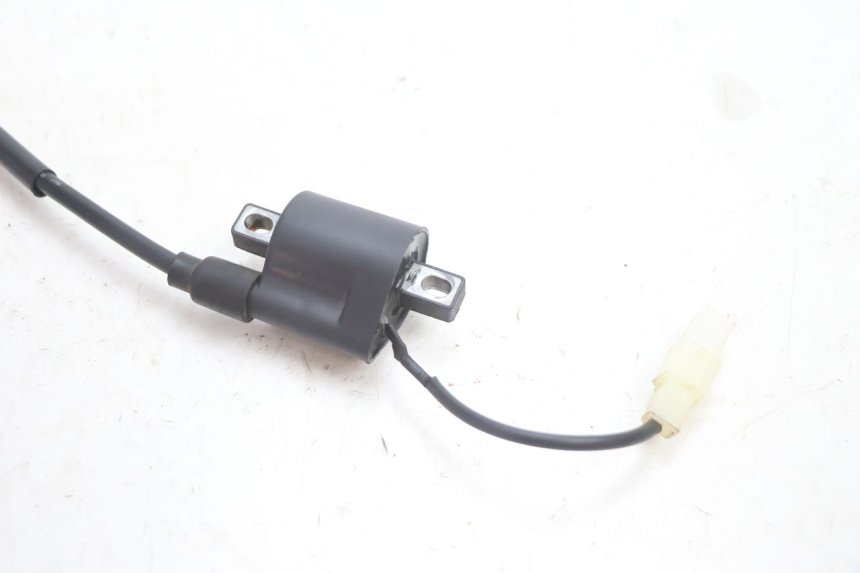 photo de BOBINE TNT MOTOR ROMA 12' 2T 50 (2007 - 2018) - État de surface