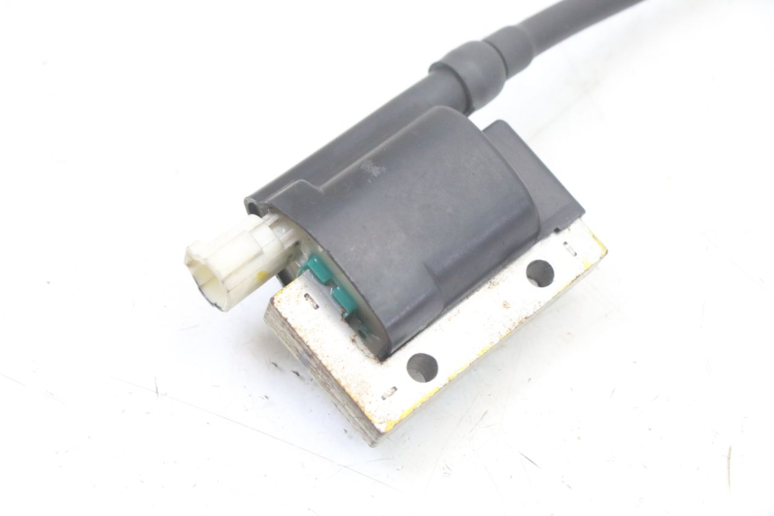 photo de BOBINE ROYAL ENFIELD HYMALAYAN 410 (2016 - 2023) - Détail de la pièce