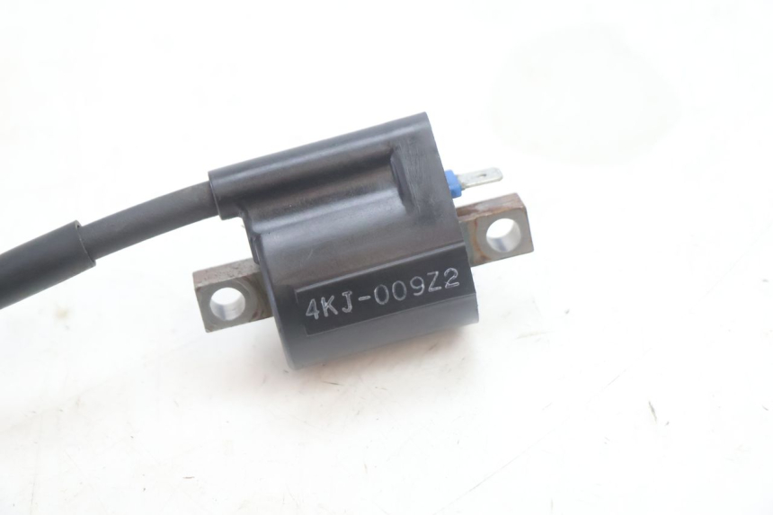 photo de BOBINE YAMAHA SLIDER 50 (1999 - 2004) - Vue d’ensemble