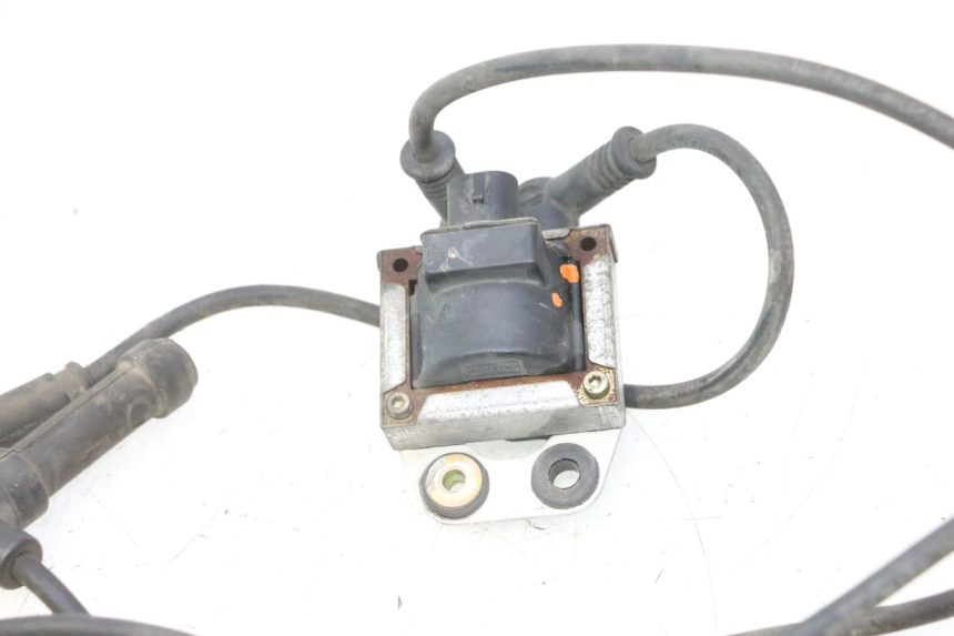 photo de BOBINE DUCATI SS IE DS CARENEE 1000 (2002 - 2006) - Vue d’ensemble