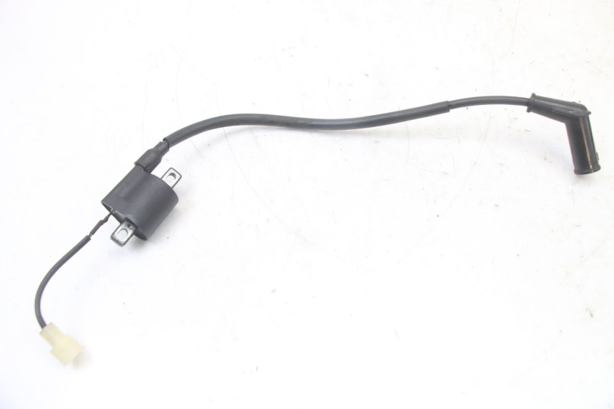 photo de BOBINE TNT MOTOR ROMA 10' 2T 50 (2011 - 2018) - Vue principale