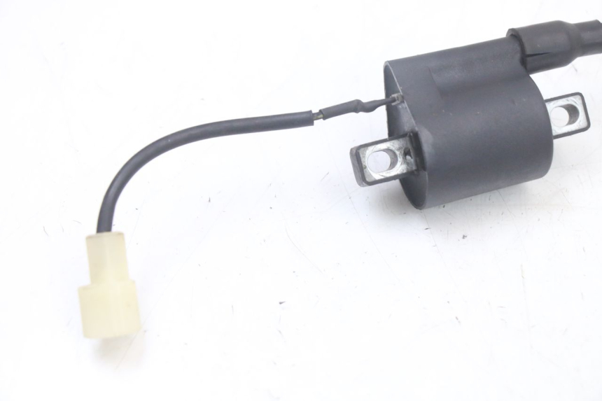 photo de BOBINE TNT MOTOR ROMA 10' 2T 50 (2011 - 2018) - Détail de la pièce