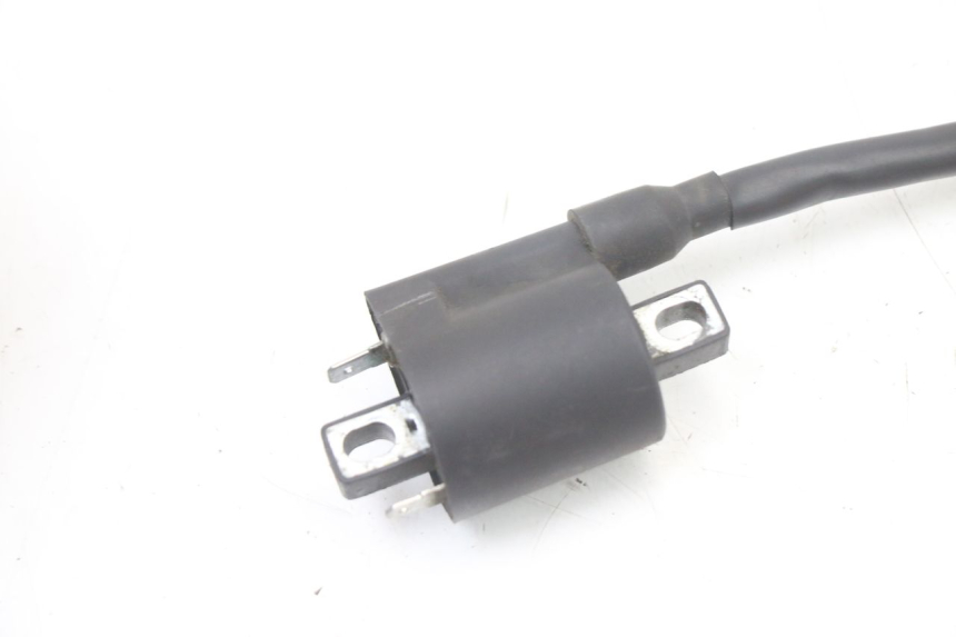 photo de BOBINE TNT MOTOR ROMA 10' 4T 50 (2019 - 2022) - Gros plan technique