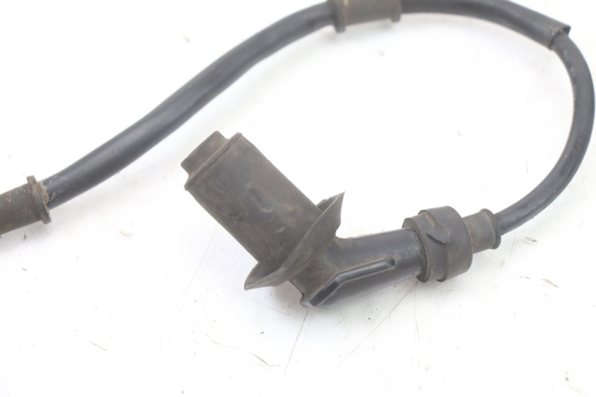 photo de BOBINE TNT MOTOR ROMA 10' 4T 50 (2019 - 2022) - Vue d’ensemble