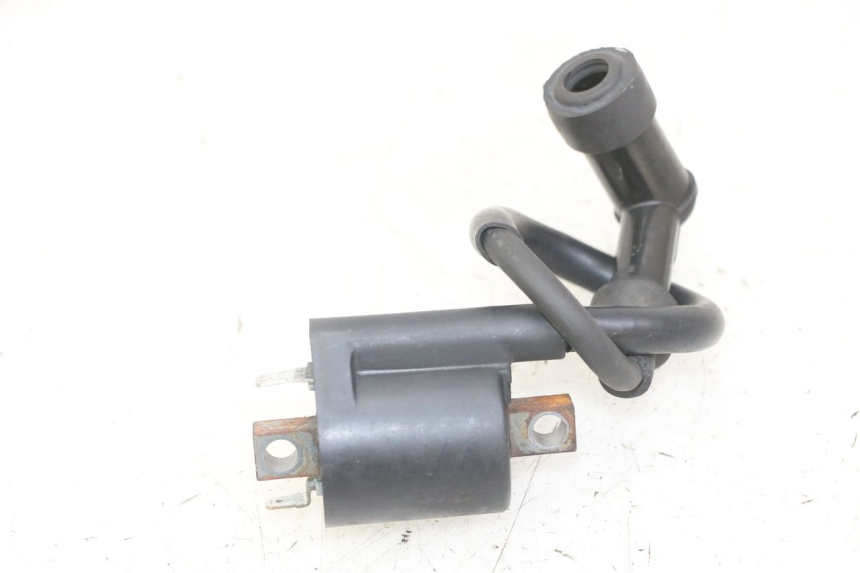 photo de BOBINE YAMAHA X-MAX XMAX 125 (2010 - 2013) - Vue principale