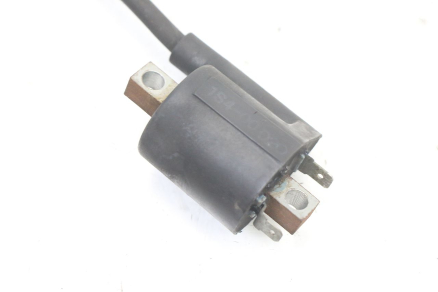 photo de BOBINE YAMAHA X-MAX XMAX ABS 250 (2010 - 2014) - Zoom état d’usage