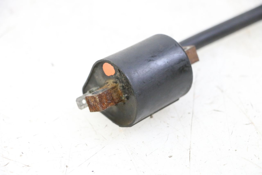 photo de BOBINE YAMAHA YP MAJESTY 125 (2002 - 2006) - Autre angle de vue