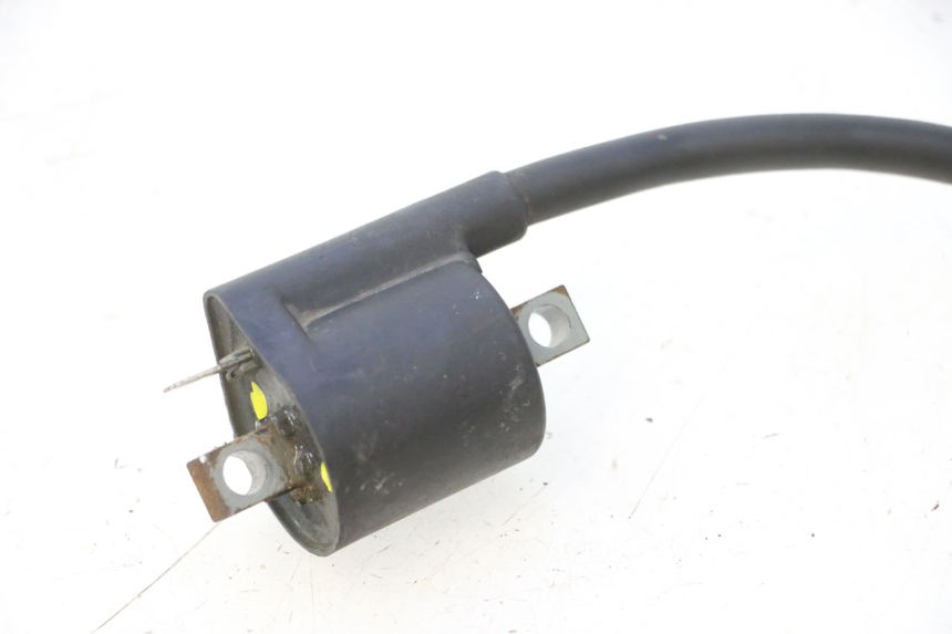 photo de BOBINE YAMAHA YP MAJESTY 125 (1998 - 2001) - Vue d’ensemble