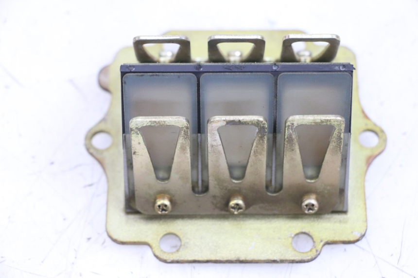 photo de BOITE A CLAPETS KAWASAKI KDX 125 (1990 - 1991) - Gros plan technique