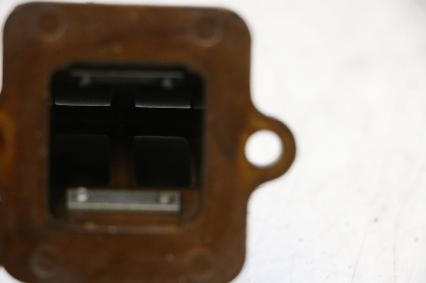 photo de BOITE A CLAPETS PEUGEOT LUDIX ONE 50 (2004 - 2013) - Zoom état d’usage