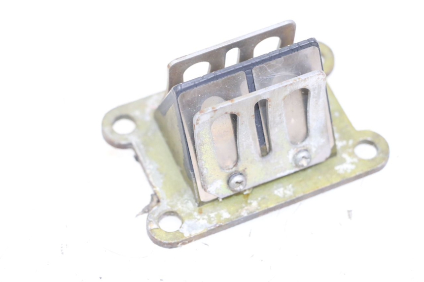 photo de BOITE A CLAPETS RIEJU MRT 50 (2009 - 2017) - Vue principale