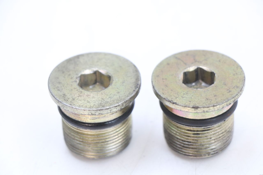 photo de BOUCHON FOURCHE JONWAY AZTRAL 125 (2008 - 2017) - Vue principale