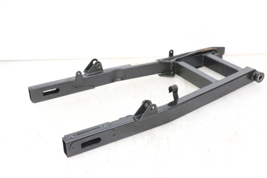 photo de BRAS OSCILLANT REGAL RAPTOR RAXTER 2 125 (2007 - 2015) - Autre angle de vue