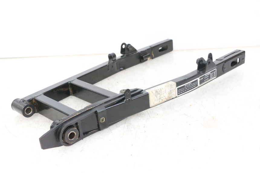 photo de BRAS OSCILLANT REGAL RAPTOR RAXTER 2 125 (2007 - 2015) - Vue d’ensemble