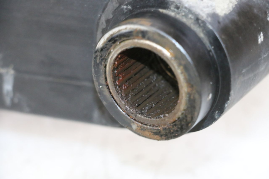 photo de BRAS OSCILLANT TRIUMPH SPRINT 900 (1995 - 1998) - Gros plan technique