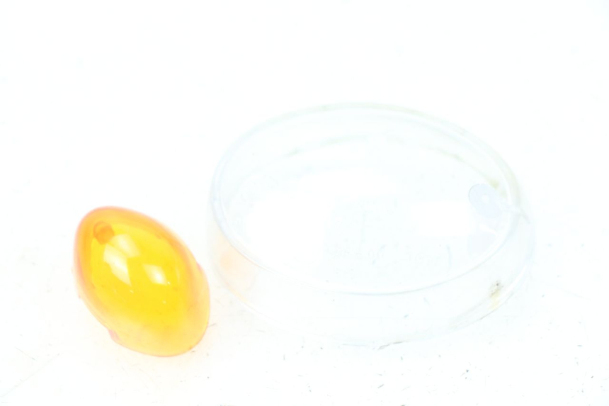 photo de CABOCHON CLIGNOTANT ARRIERE DROIT RIDE JUMP 2T 50 (2012 - 2017) - Zoom état d’usage