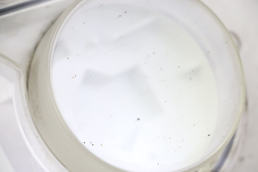 photo de CABOCHON COMPTEUR PEUGEOT SATELIS 250 (2006 - 2012) - Détail de la pièce