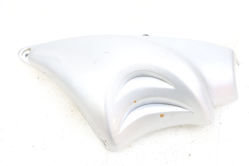 photo de Right side lateral frame cover HYOSUNG GF 125 (2001 - 2005) - Détail de la pièce