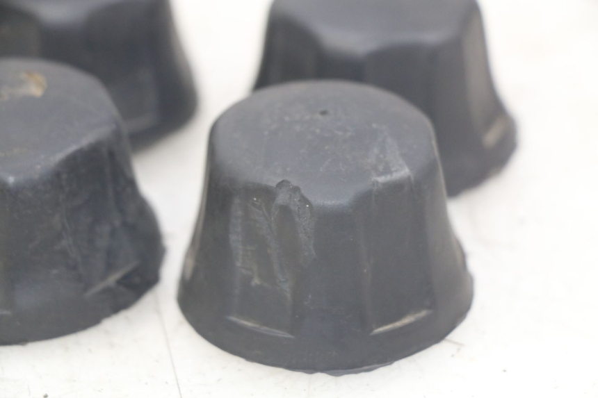 photo de CACHE ROUE PANTHERA PANTHERA 110 (2010 - 2017) - Gros plan technique