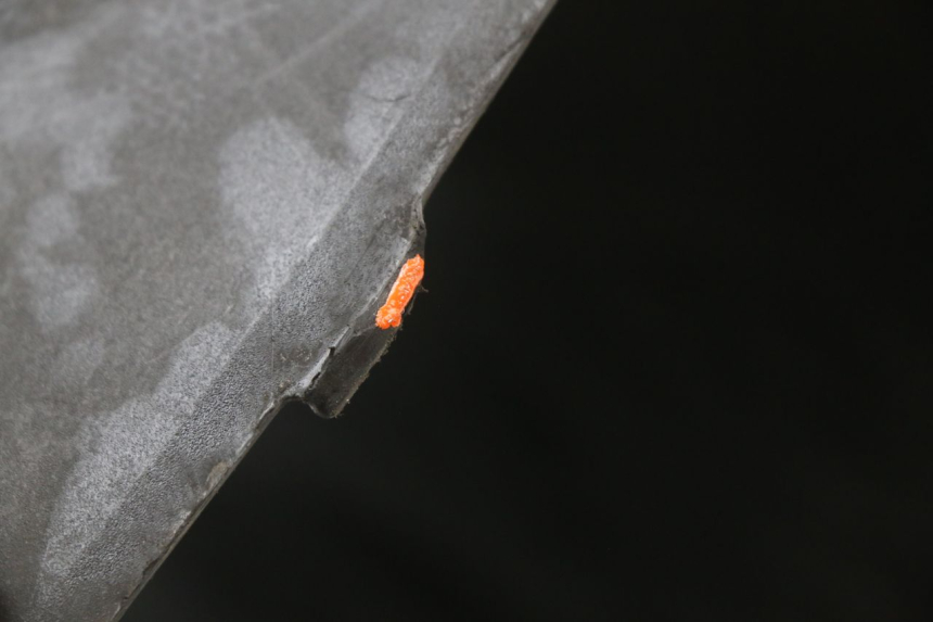 photo de CACHE SOUS SELLE KYMCO AGILITY CARRY 50 (2011 - 2020) - Points de fixation